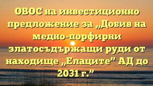 ---------------2031-----------------2031-