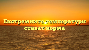 -------
